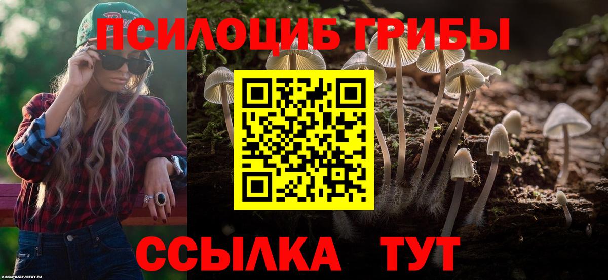 Новосибирск  Галлюциногенные грибы ЛСД  Вход с VPN  Псилоцибиновые грибы мухоморы 